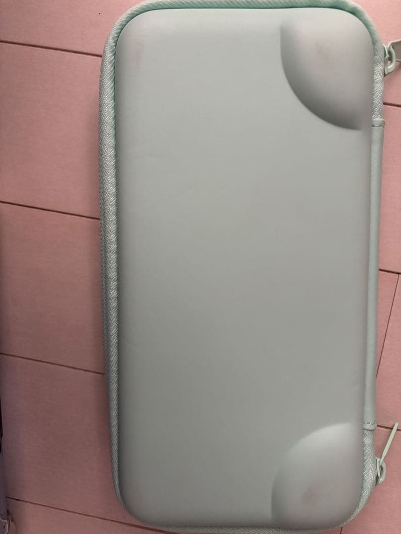 Nintendo Switch Lite ポケモン　ケース付き