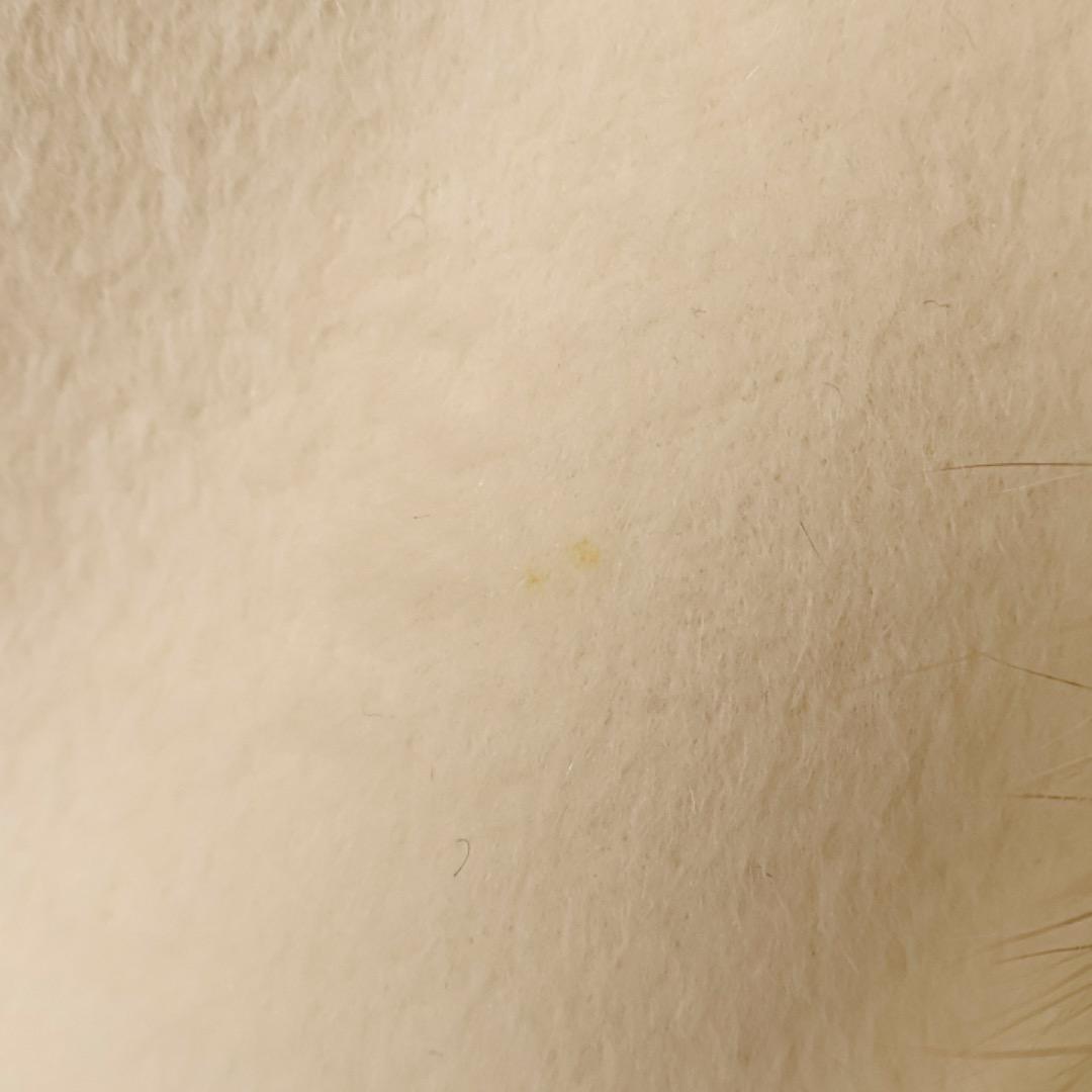 H3068-76◾️ハロッズ　アンゴラ　フォックスファー　ポンチョ