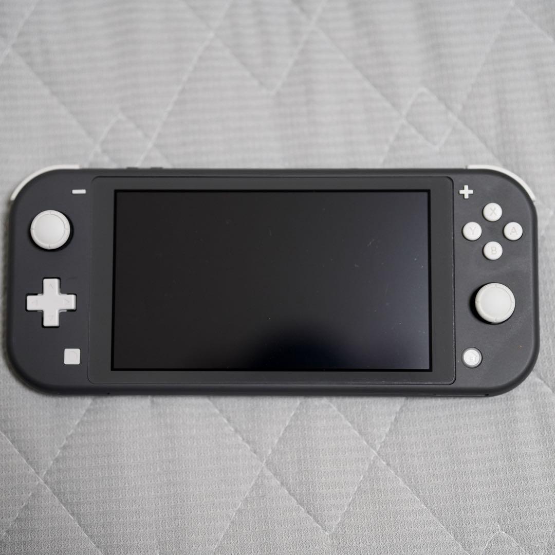 Nintendo Switch Lite グレー タフケース・SDカード付き