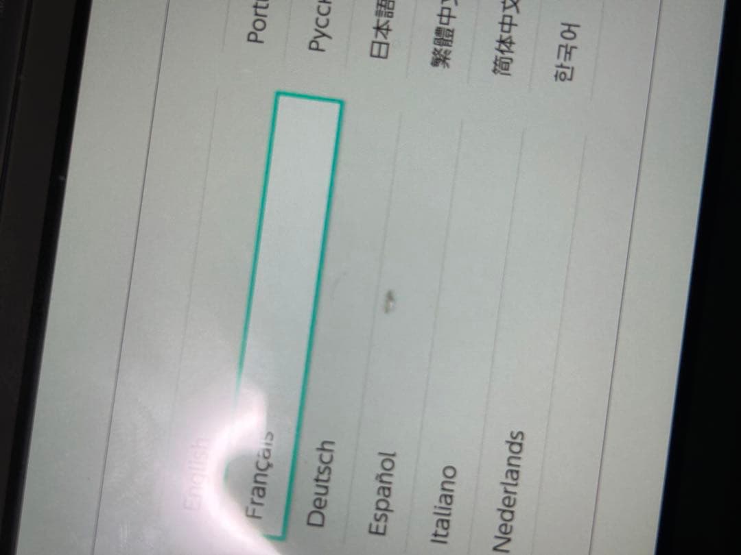 Nintendo Switch Lite 本体　充電器付き