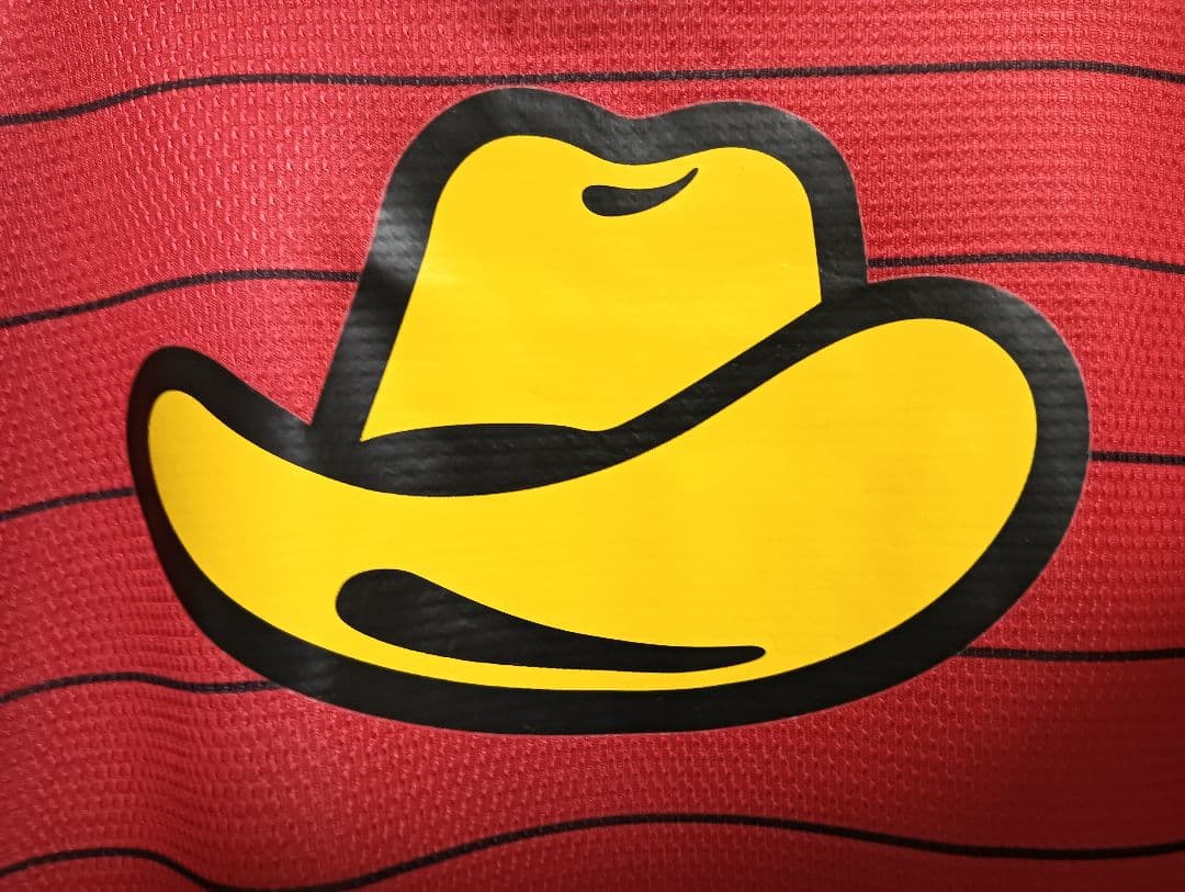 ナイキ 鹿島アントラーズ 本山雅志 ユニフォーム 2013ホーム L