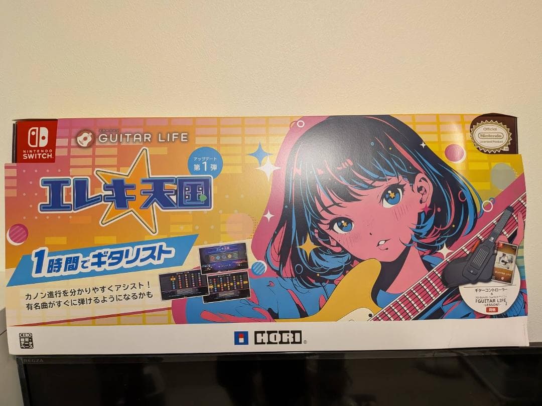 【状態良好】HORI Switch ギターライフ【欠品なし】