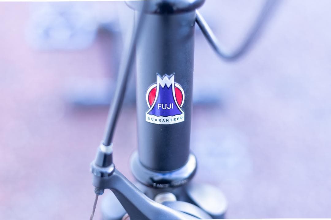 Fuji Feather（ピストバイク）マットブラック　2021年　540mm