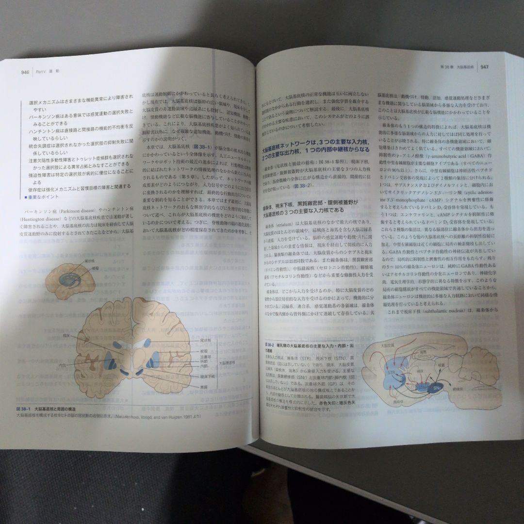 カンデル神経科学