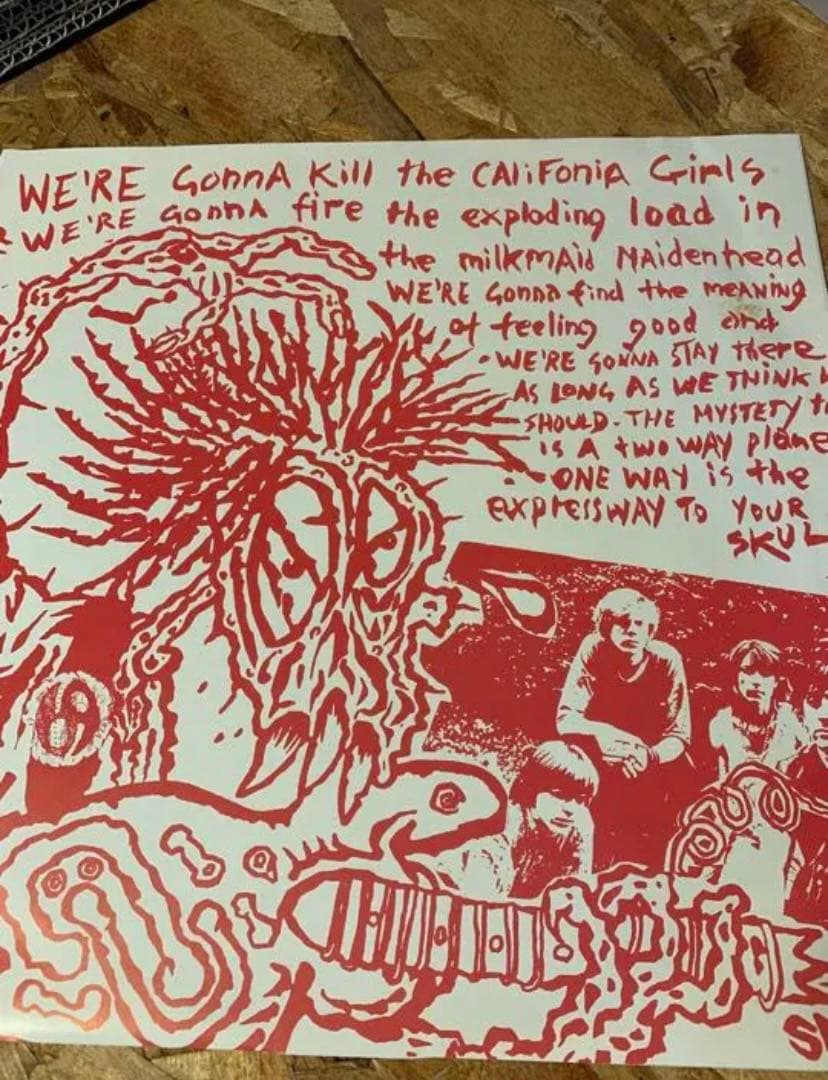 Sonic Youth Walls Have Ears レコード