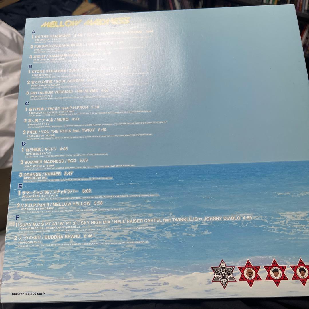 邦楽 DEV LARGE MELLOW MADNESS 3LP