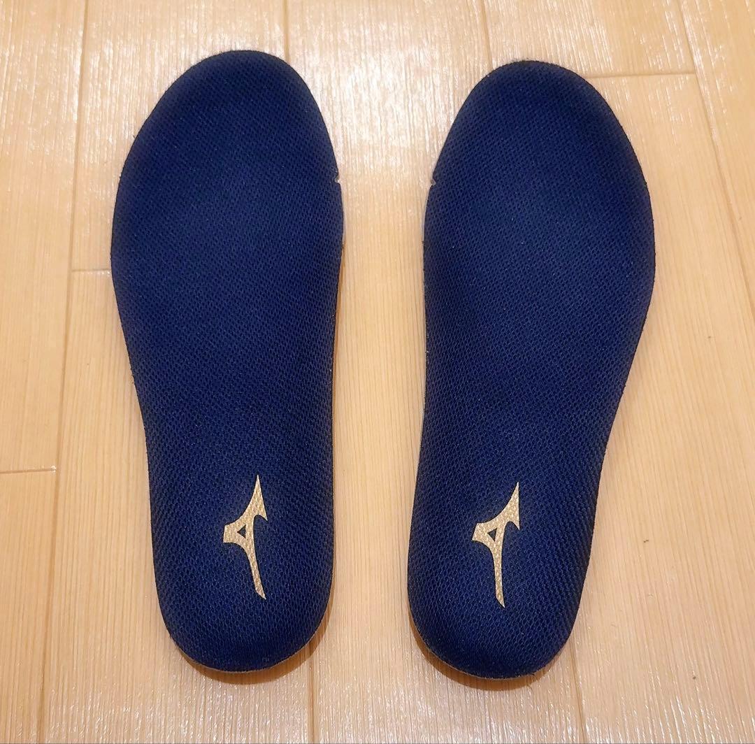 mizuno ハイカット安全靴 25cm ホワイト/ブラック