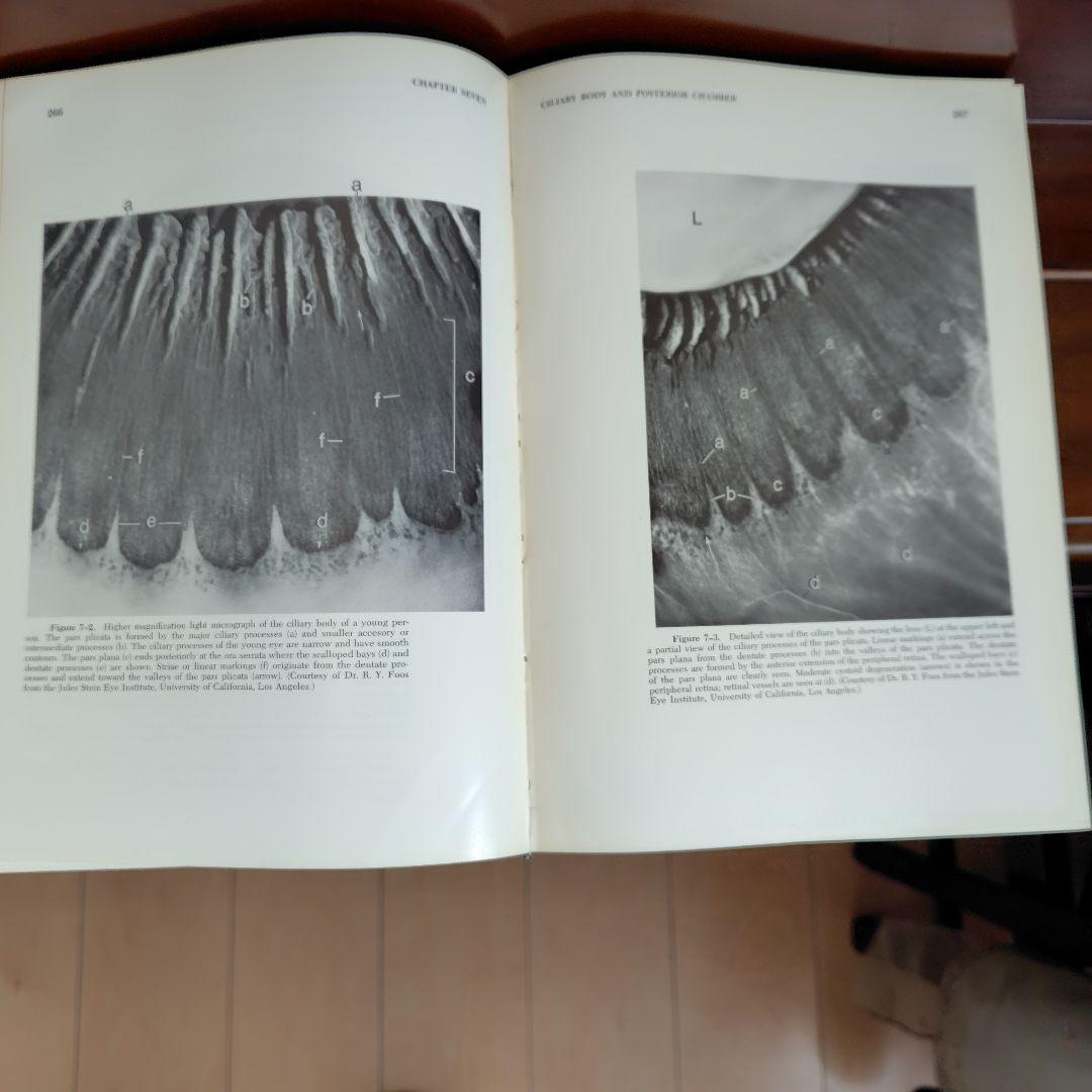 洋書 HISTOLOGY of the HUMAN EYE