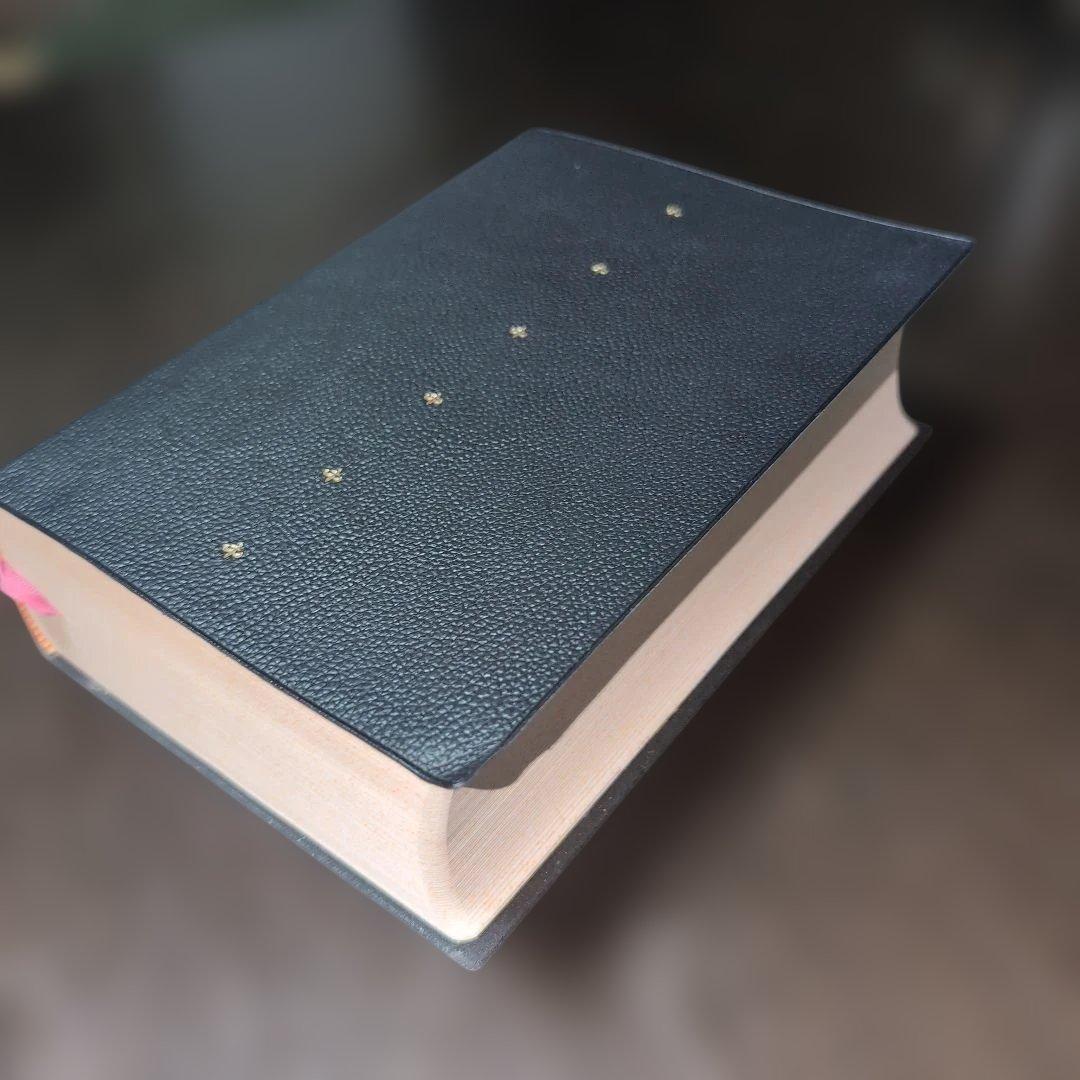 聖書 新改訳 いのちのことば社