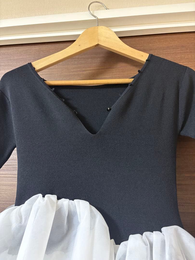 試着のみBibiy. DELPHINE TULLE DRESS