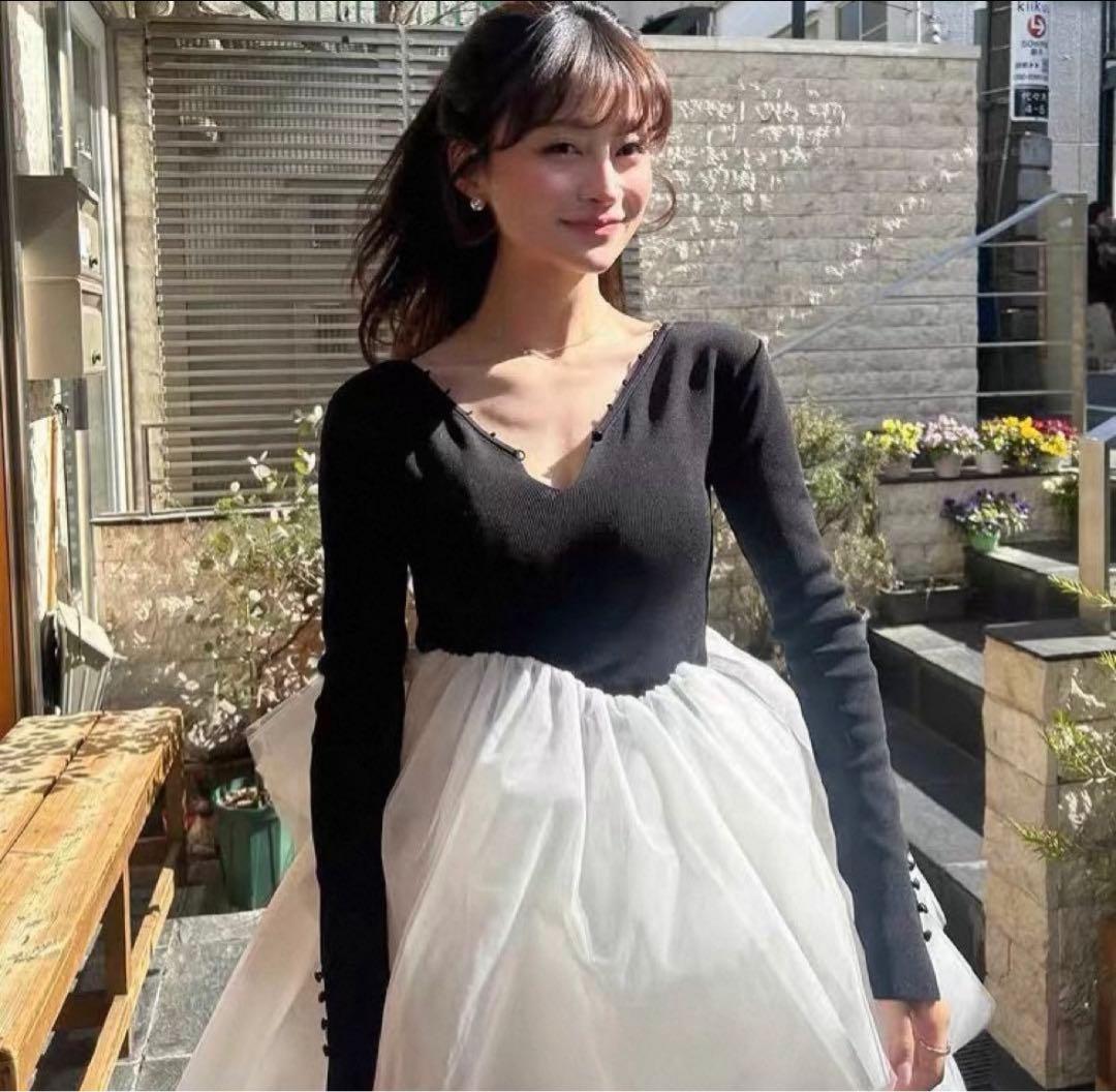 試着のみBibiy. DELPHINE TULLE DRESS