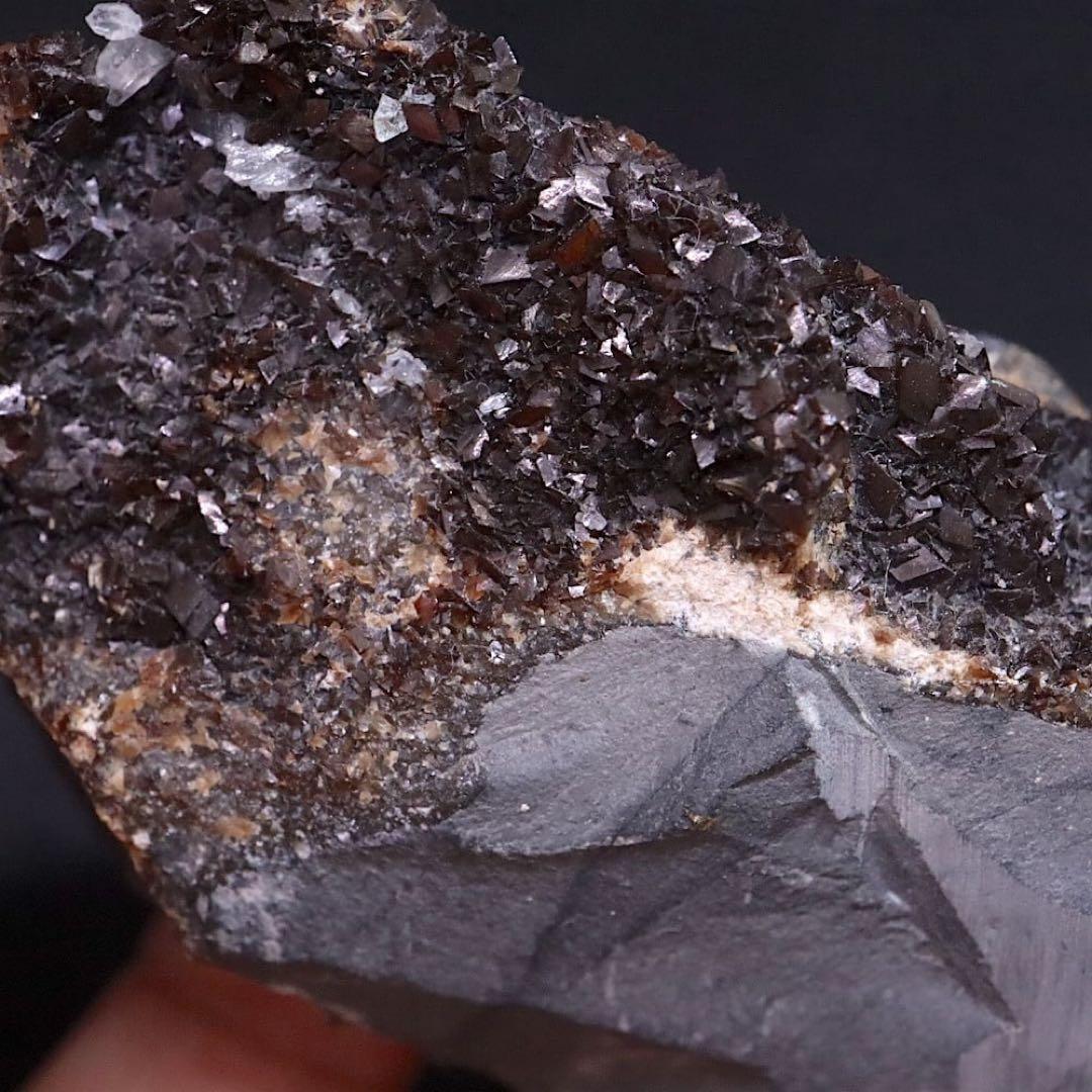 りりごごページ！3点