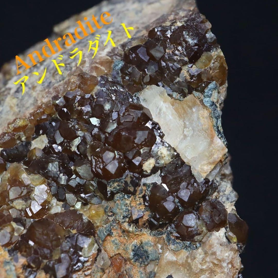 りりごごページ！3点