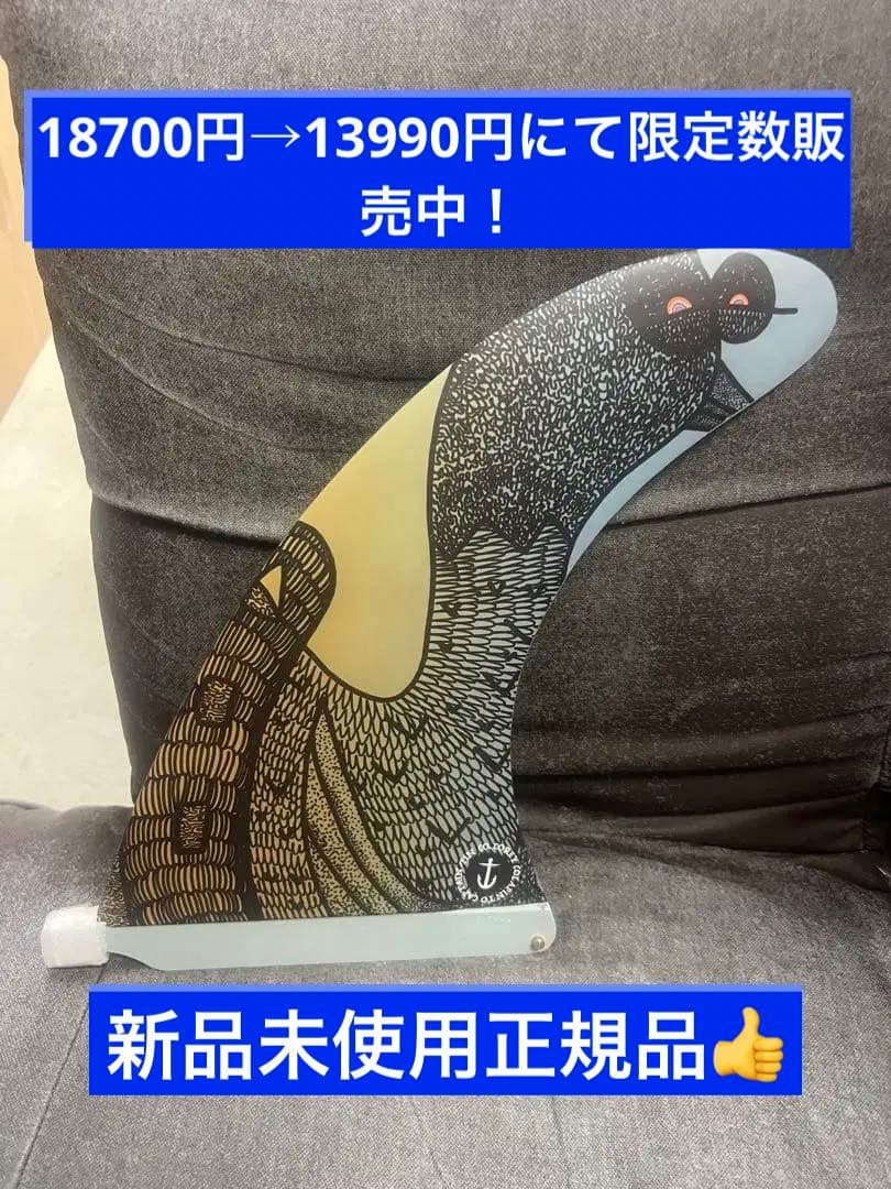 キャプテンフィンCaptain Fin Corey Colapinto 10.0