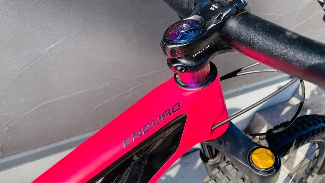 自転車本体 Specialized Enduro Elite 29 Carbon M