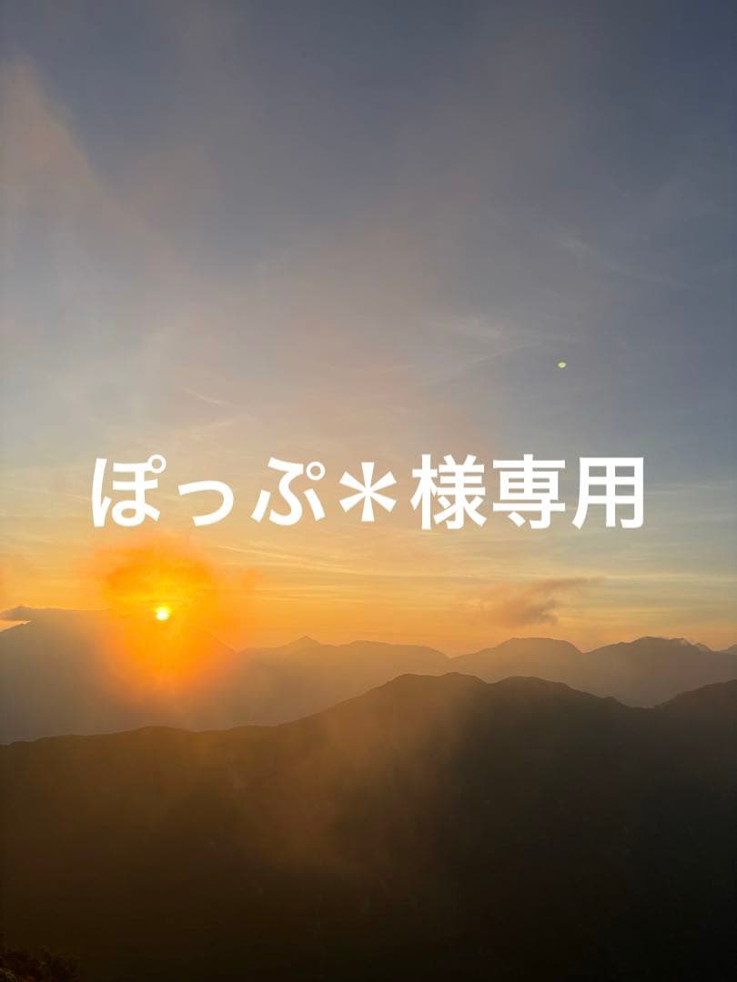 ぽっぷ＊　フォーシスアンドカンパニー　ブライダルインナーセット