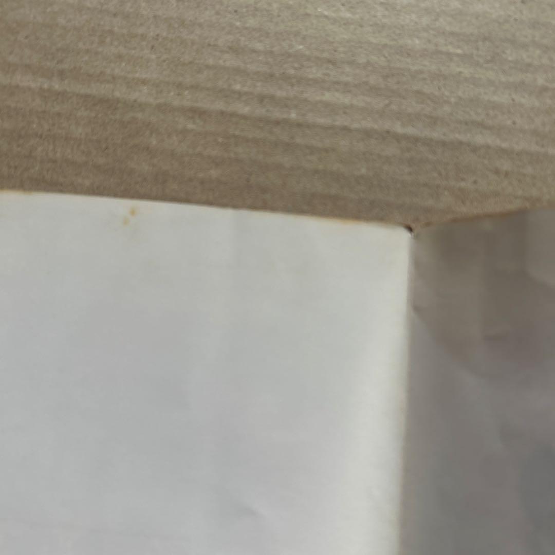 Ra CCo 組 Ra CCo PARTY 廃盤 レア盤 アイドルCDアルバム