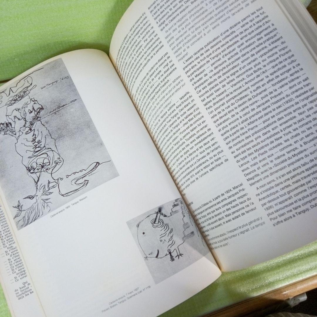 Yves Tanguy　イヴ・タンギー　洋書　図録　作品集　芸術　アート　ART
