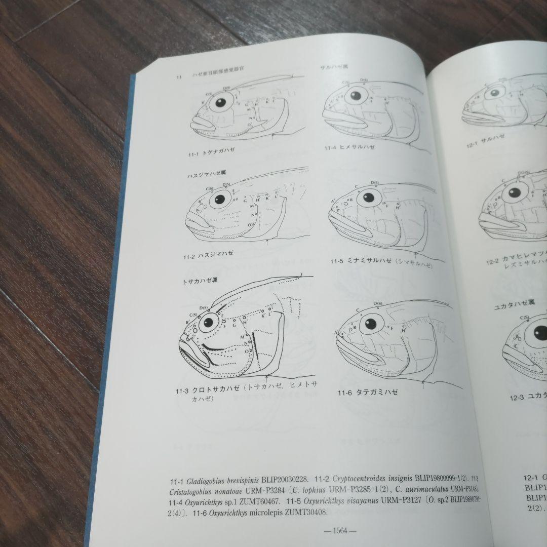 日本産魚類検索 全種の同定 第三版 別冊 ハゼ亜種