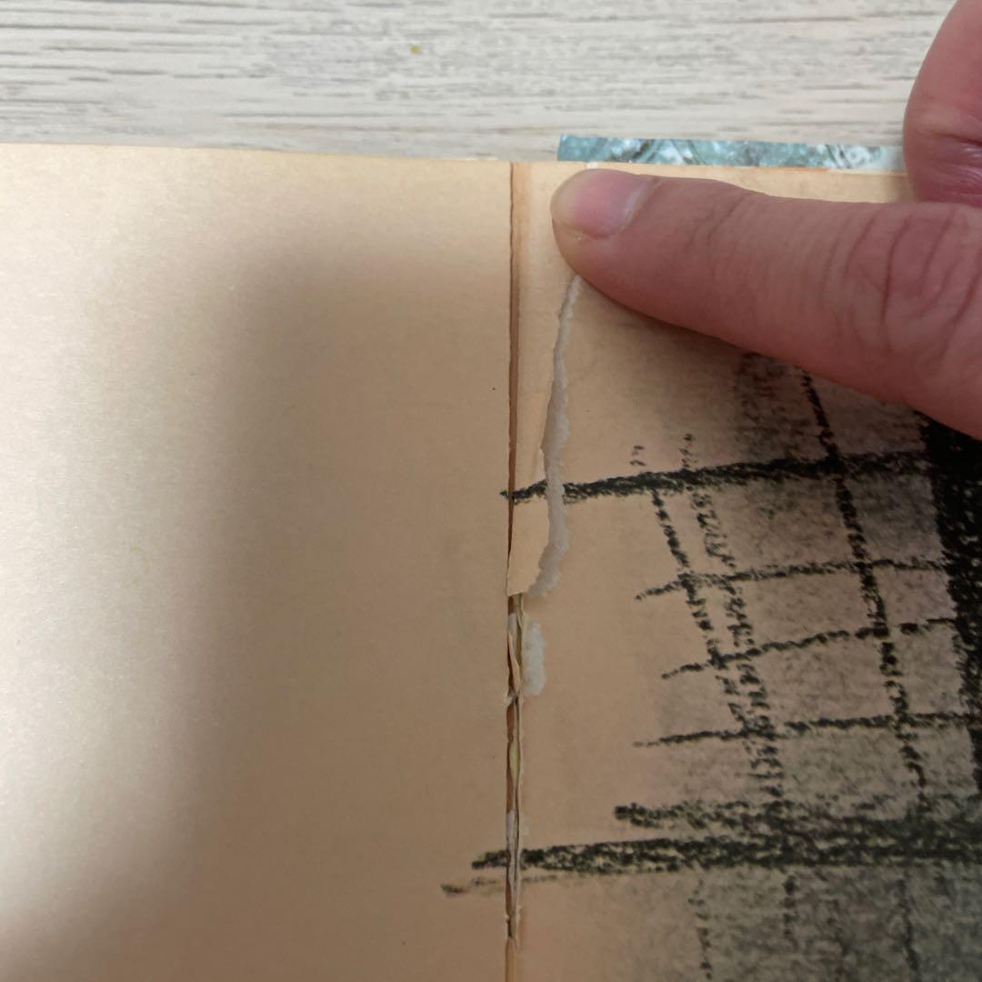 おひさまをはこぶちょう 絵本