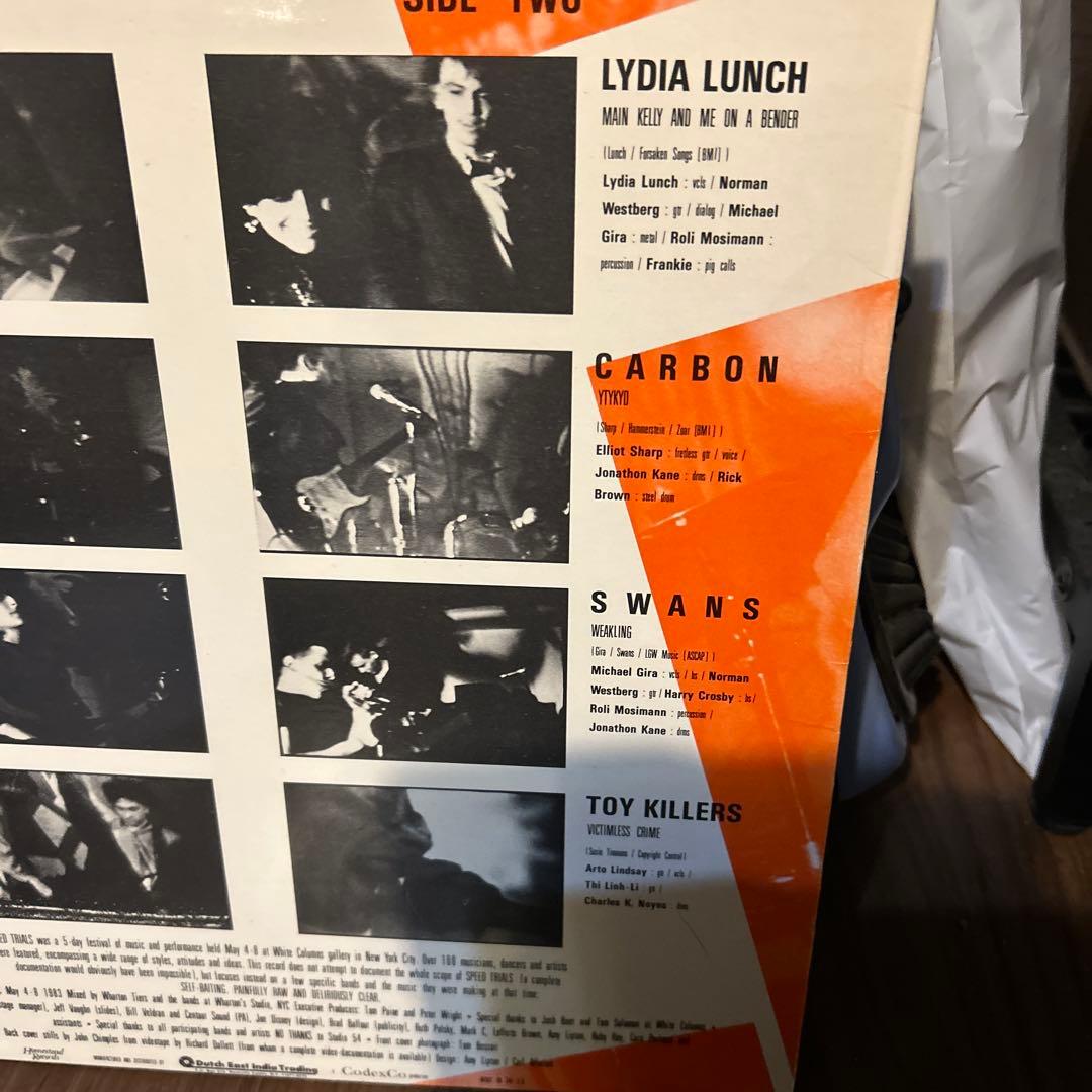 洋楽 beastie boys sonic youth lydia lunch