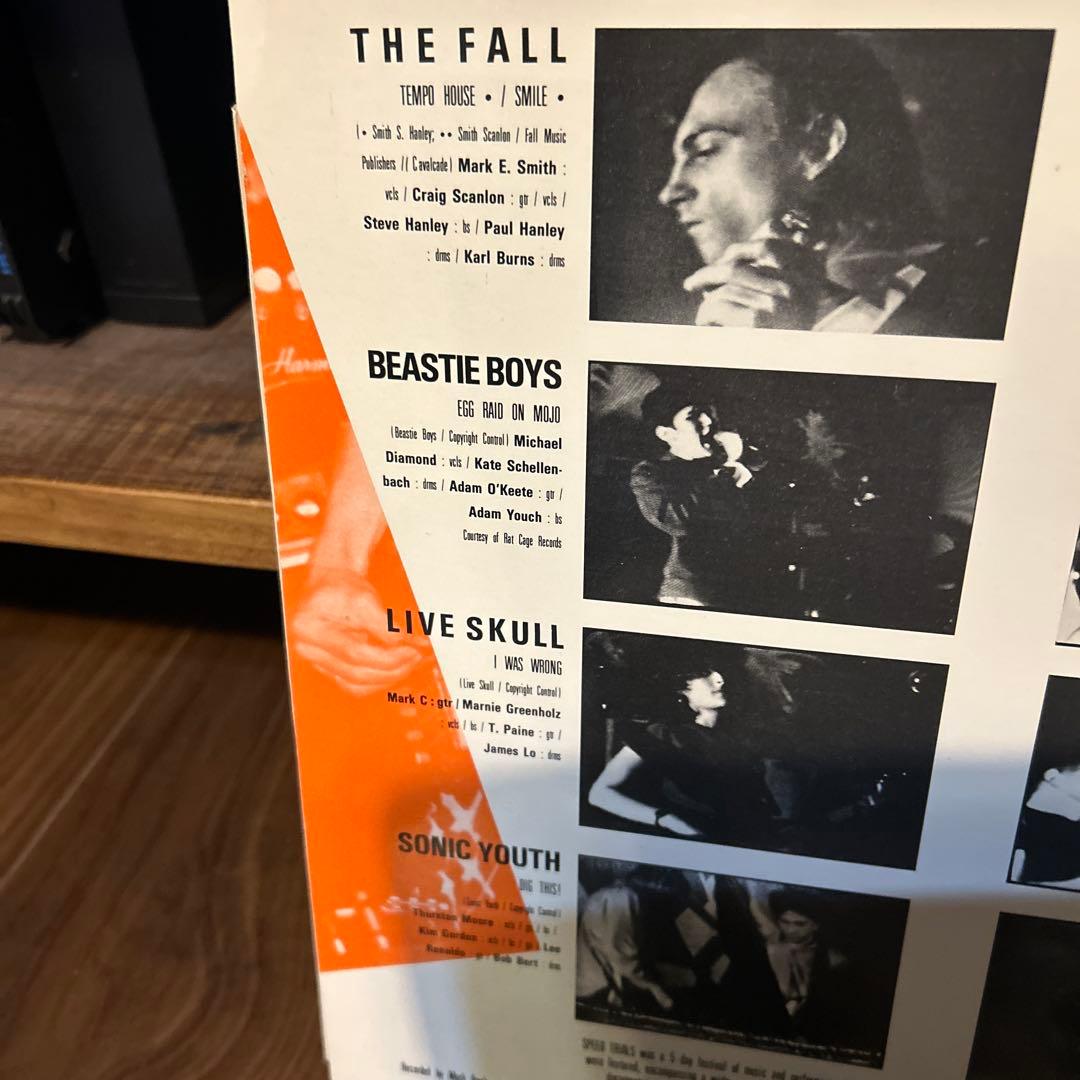 洋楽 beastie boys sonic youth lydia lunch