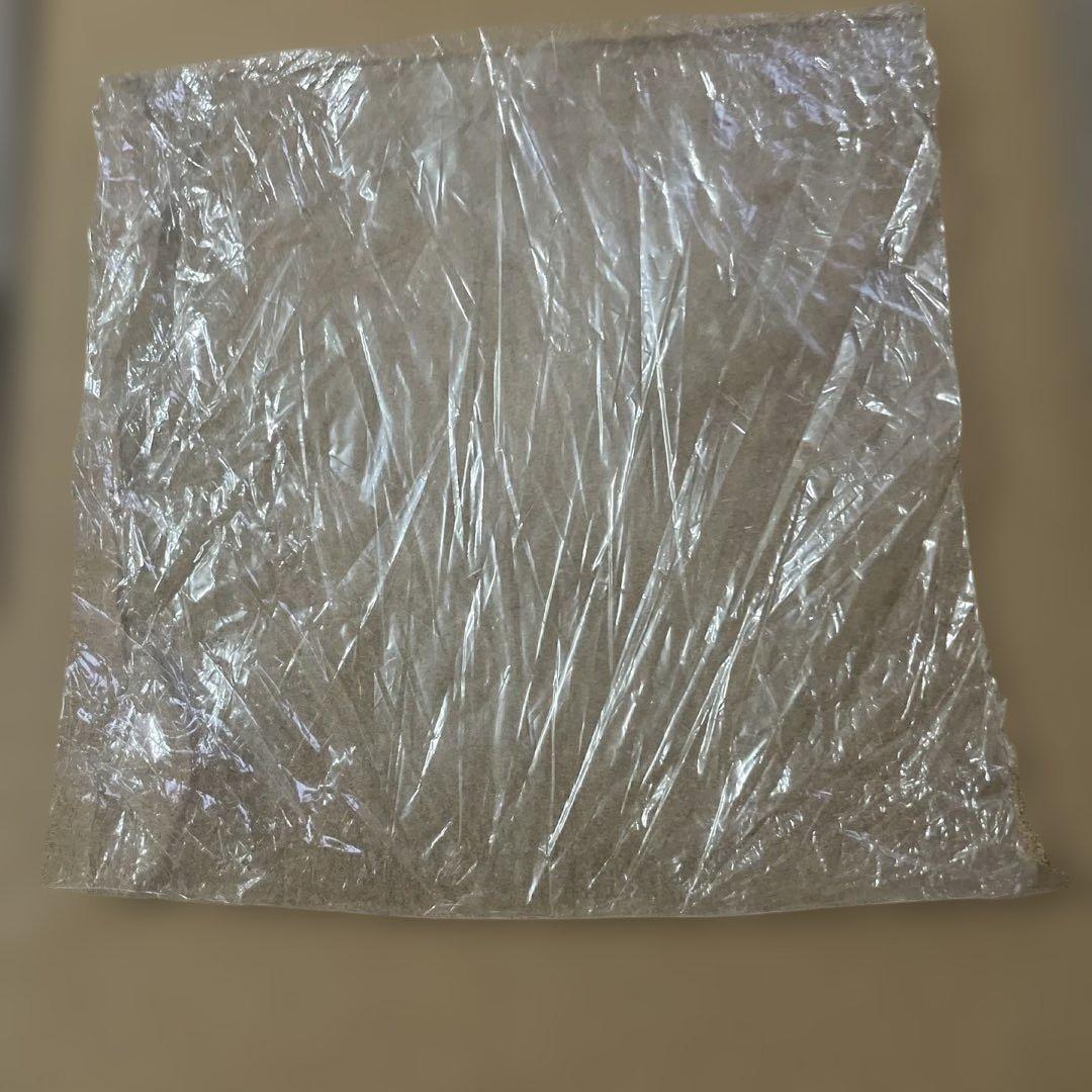 洋楽 KISS GENE SIMMONS