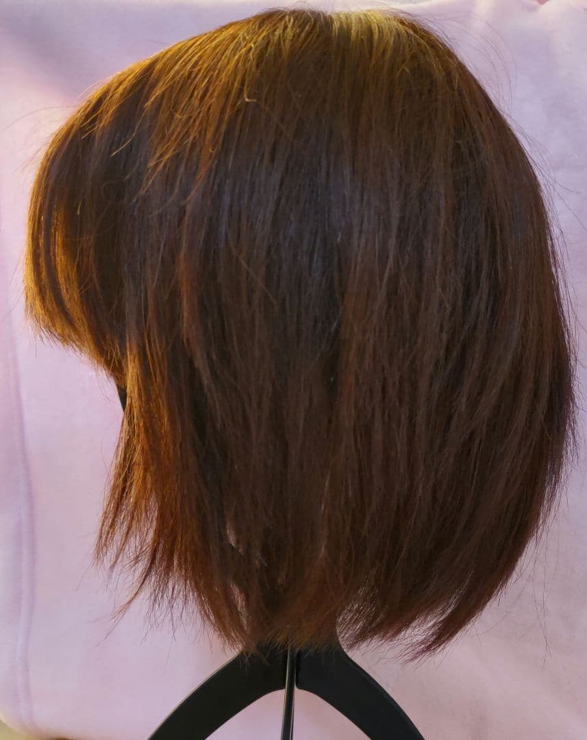 LINEASTORIA 人毛100%フルウィッグ ダークブラウン　リネアストリア