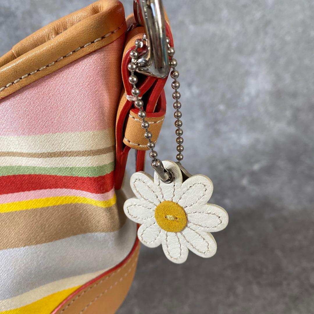 極美品　コーチ アクセサリーポーチ ワンショルダー ストライプ　マルチカラー