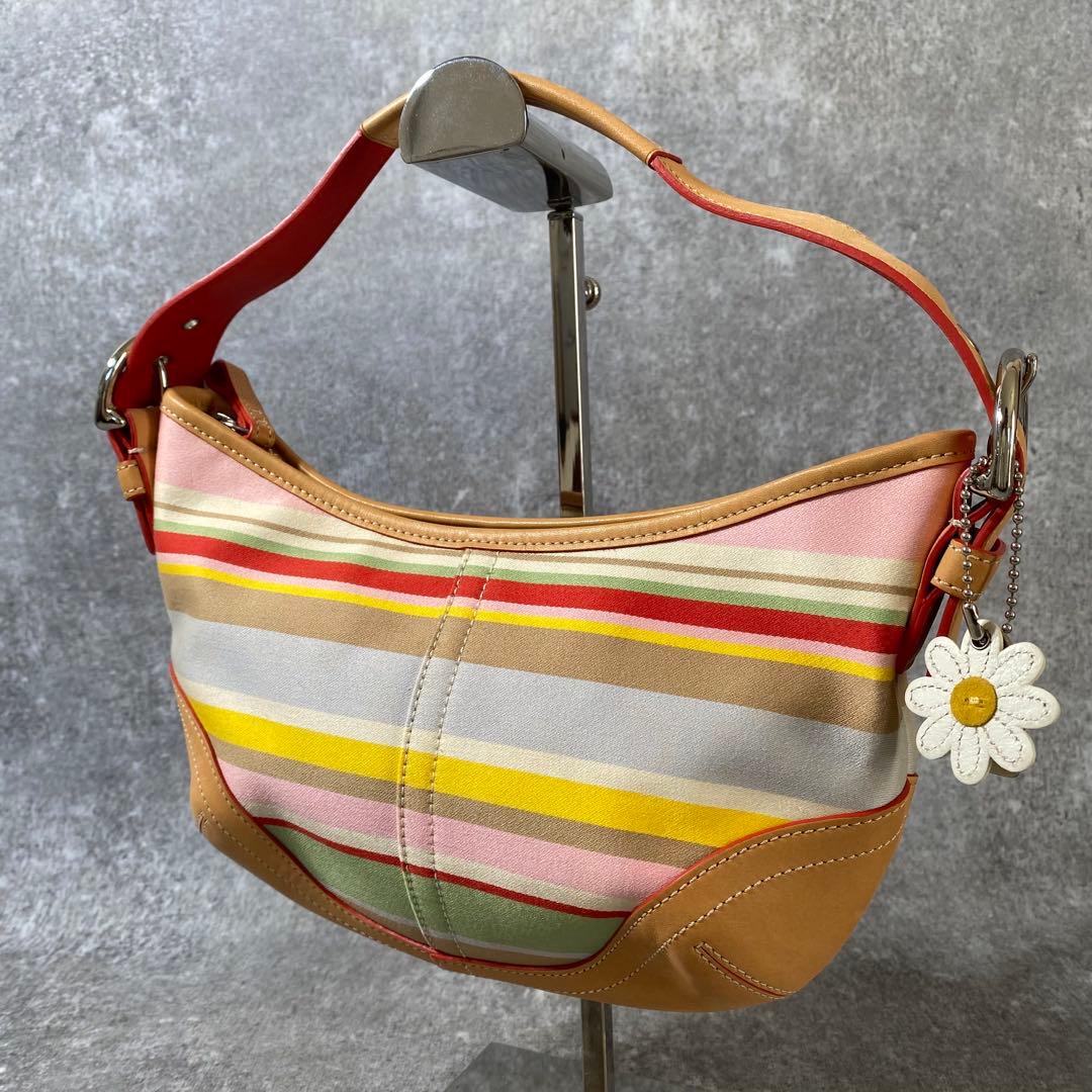 極美品　コーチ アクセサリーポーチ ワンショルダー ストライプ　マルチカラー