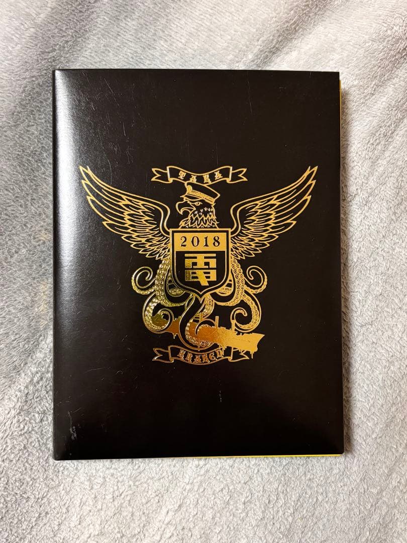 電気グルーヴ/クラーケン鷹　DVD