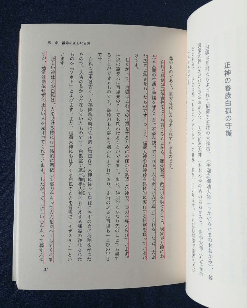霊障からの救い　救霊と奇蹟を起こす神霊治療