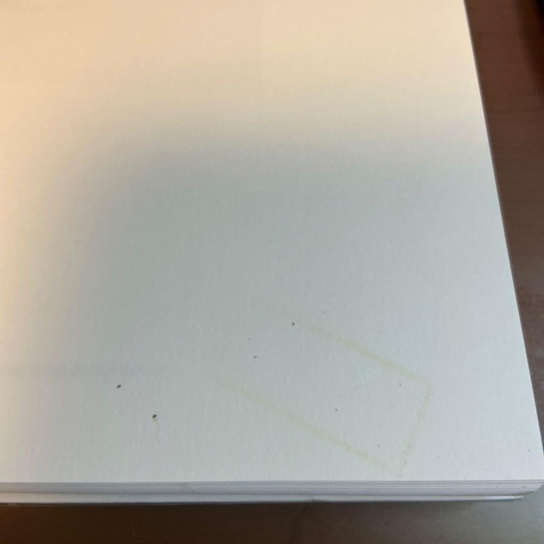 フィリップ・ガストン Nixon Drawings 1971 & 1975