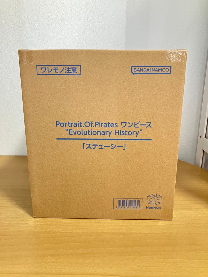 【輸送箱未開封】POP Evolutionary History ステューシー