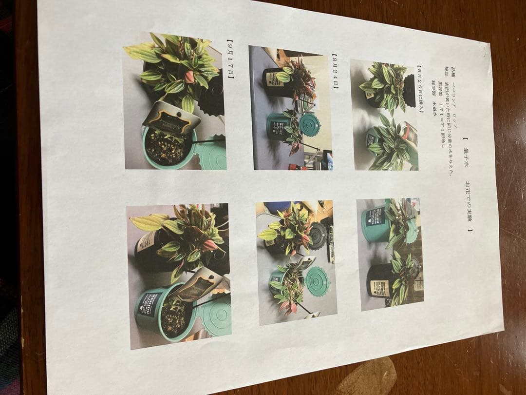 VGテクノロジー量子水高回転循環システム　Rebirth リバース　10リットル