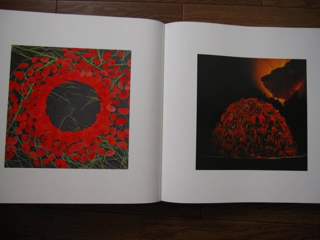 Leafing throuth Flowers　DANIEL OST　サイン入り