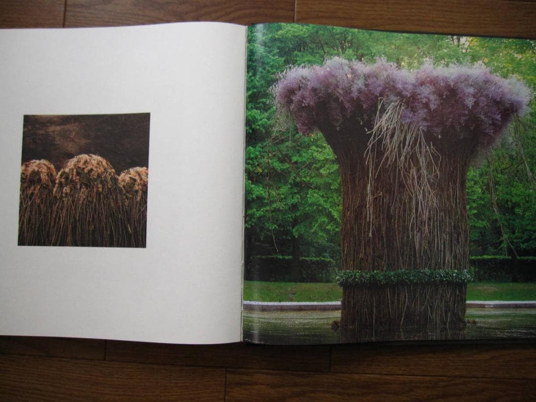 Leafing throuth Flowers　DANIEL OST　サイン入り