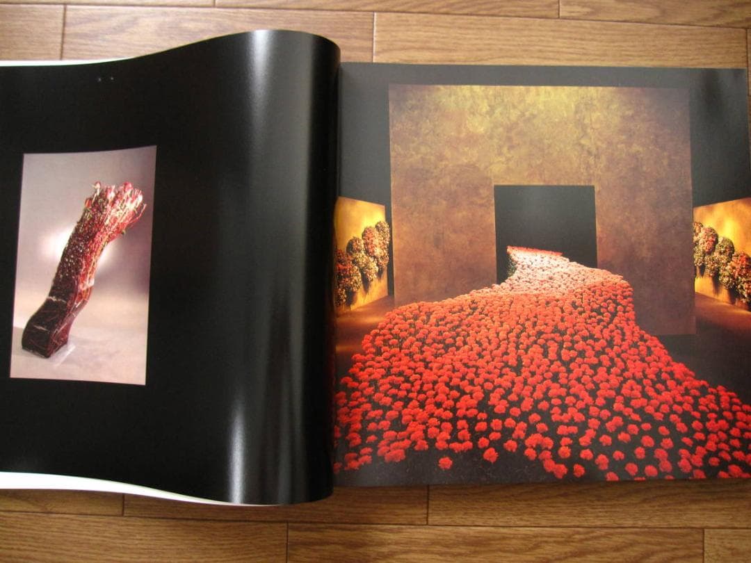 Leafing throuth Flowers　DANIEL OST　サイン入り