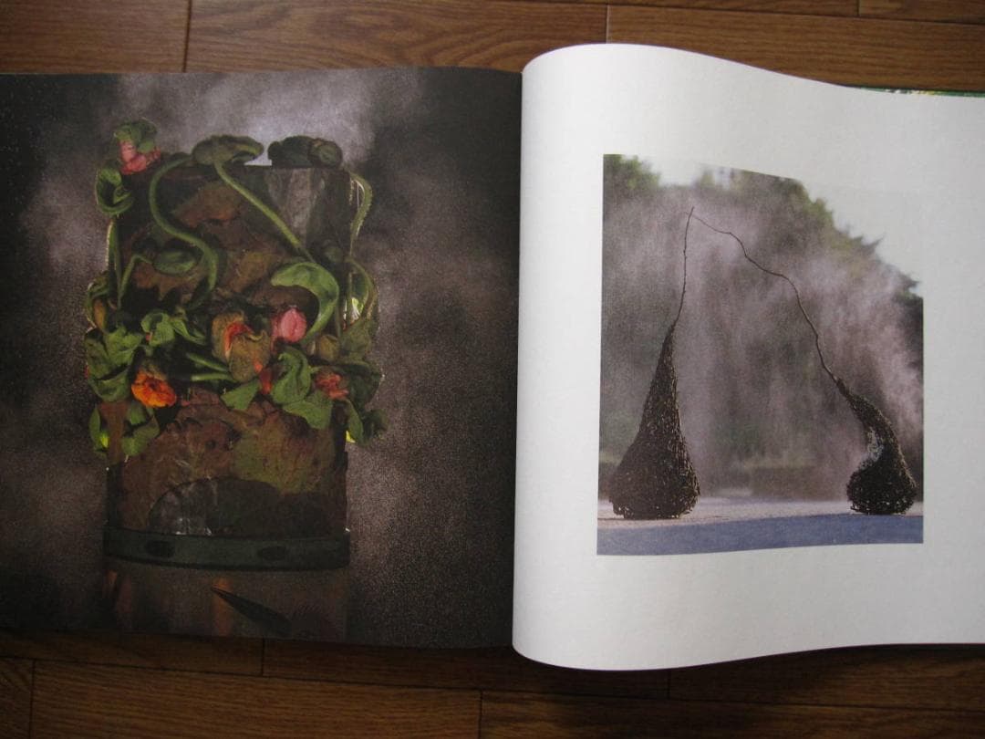 Leafing throuth Flowers　DANIEL OST　サイン入り