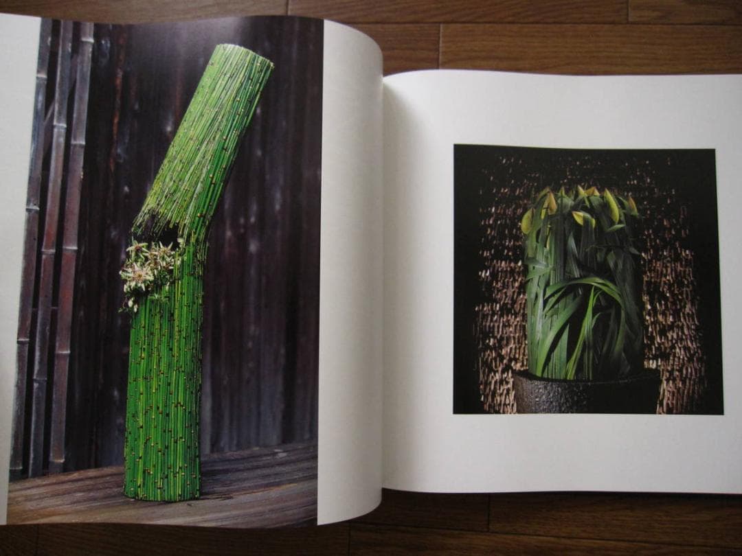 Leafing throuth Flowers　DANIEL OST　サイン入り