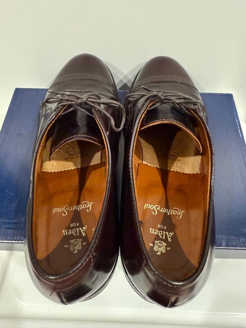 Aldenパンチドキャップトゥ 8.5D