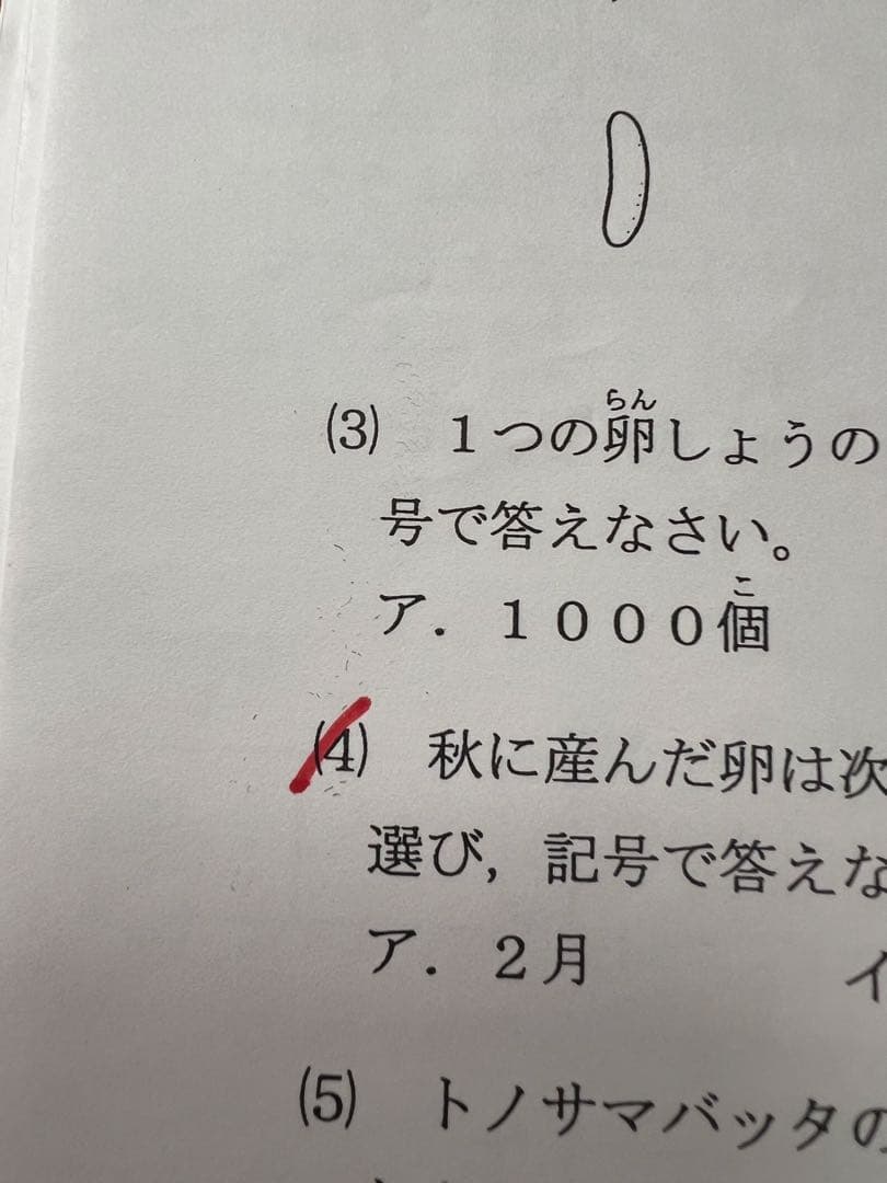 浜学園 小4 復習テスト Sクラス 算数 国語 理科 3科目1年分