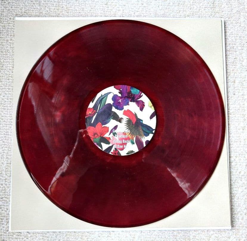 Washed Out ウォッシュドアウト LPレコード