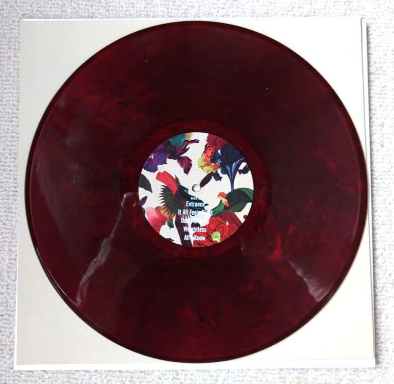 Washed Out ウォッシュドアウト LPレコード