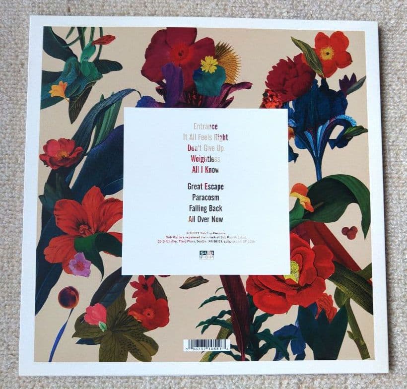 Washed Out ウォッシュドアウト LPレコード