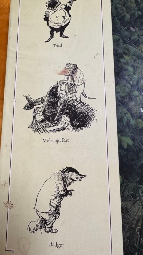 Beyond the Wild Wood・たのしい川べ　2冊セット