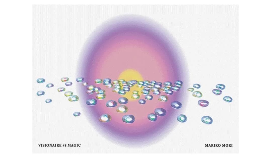 VISIONAIRE 第48号MAGIC Van Cleef & Arpels