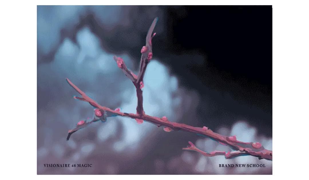 VISIONAIRE 第48号MAGIC Van Cleef & Arpels