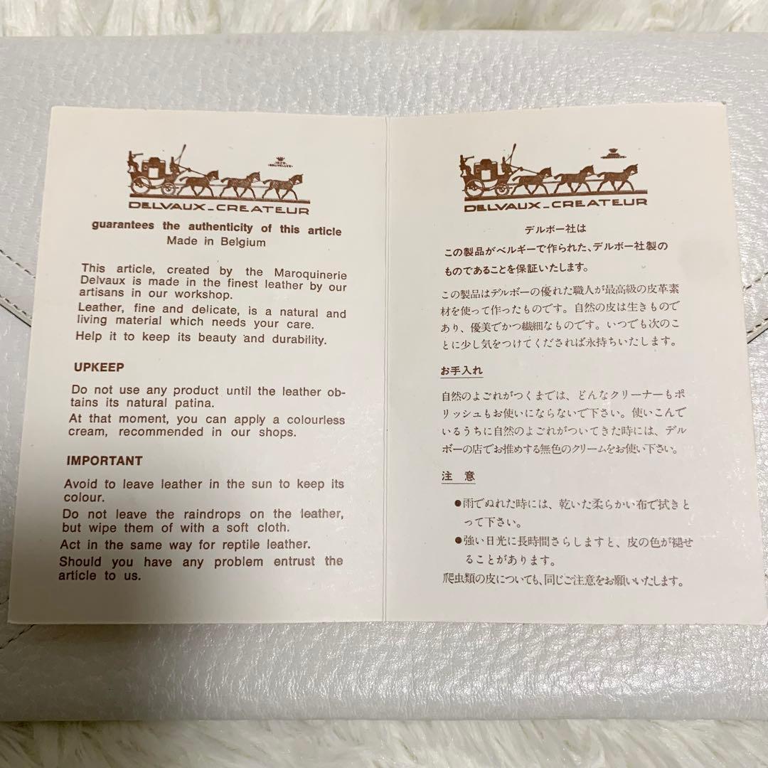 【極希少】デルヴォー セカンドバッグ レザー アイボリー