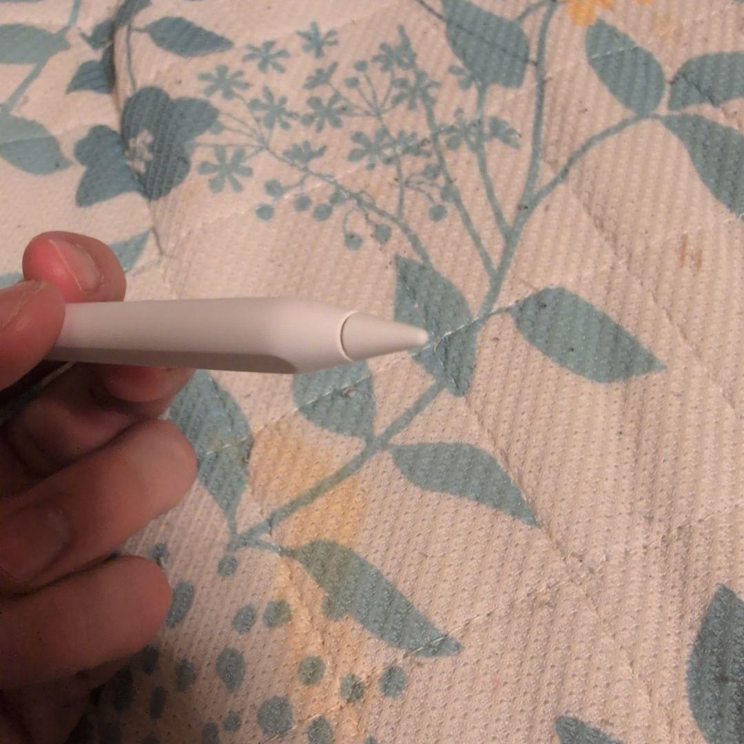 a*1様 美品iPad Pro　m1 第三世代256ギガ+ApplePencil